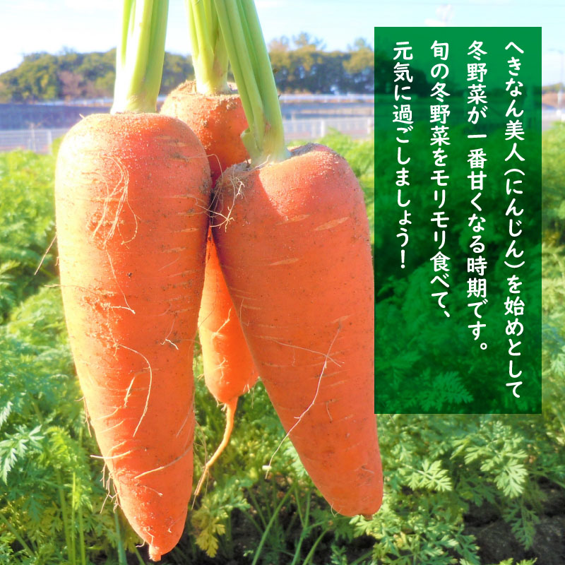 愛知県碧南市のふるさと納税 旬の野菜をお届け！甘～い人参と地元野菜セット へきなん美人 にんじん　H025-010