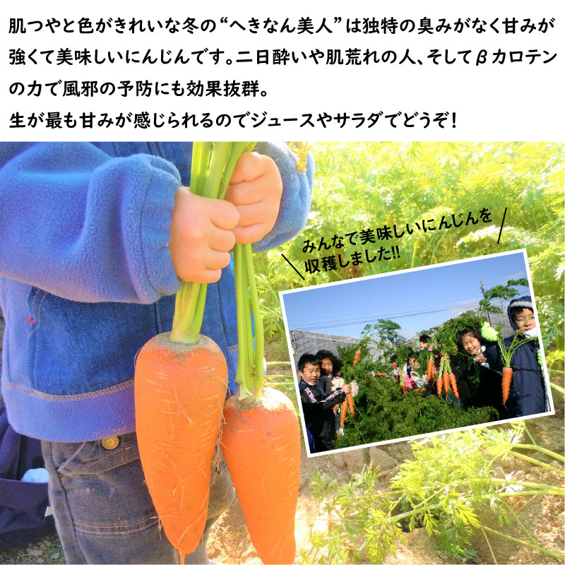 愛知県碧南市のふるさと納税 旬の野菜をお届け！甘～い人参と地元野菜セット へきなん美人 にんじん　H025-010