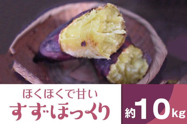 茨城県行方市のふるさと納税 BZ-12　【2024年11月より順次発送】2024年度産 ホクホクで甘いさつまいも　『すずほっくり』約10kg