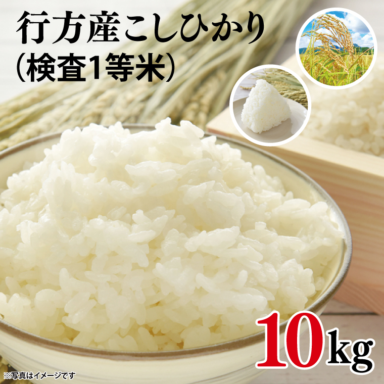 茨城県行方市のふるさと納税 【2025年6月発送】★数量限定★令和6年 茨城県産コシヒカリ 10kg｜米 お米 こめ こしひかり コシヒカリ 数量限定 期間限定 令和6年産 茨城県産 行方市 人気 送料無料(CU-327-1)