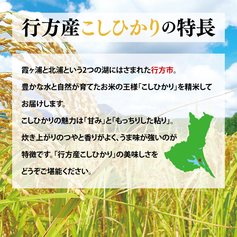 茨城県行方市のふるさと納税 【2025年6月発送】★数量限定★令和6年 茨城県産コシヒカリ 10kg｜米 お米 こめ こしひかり コシヒカリ 数量限定 期間限定 令和6年産 茨城県産 行方市 人気 送料無料(CU-327-1)