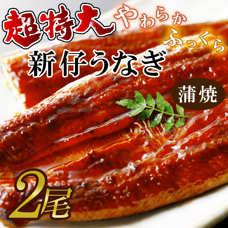 茨城県行方市のふるさと納税 AD-95-1　やわらか新仔うなぎ超特大蒲焼220～250ｇ　2尾　計440ｇ以上
