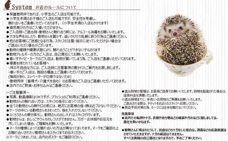 東京都豊島区のふるさと納税 チケット 東京 ふれあい入場チケット 体験 ふくろう 爬虫類 チンチラ フクロモモンガ ハリネズミ ミーアキャット プレーリードッグ フェネック ヘビ カメ 写真撮影 ふれあい 豊島区 東京都