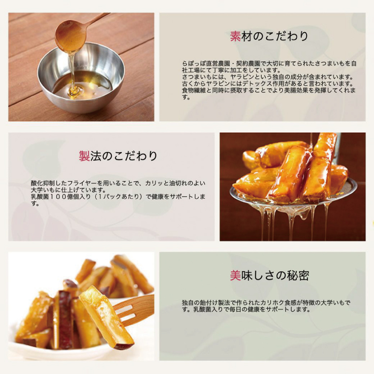 茨城県行方市のふるさと納税 らぽっぽファームポテトアップルパイ＆美腸大学いも5袋 | りんごパイ 焼き菓子ギフト さつまいもスイーツ 美腸大学いも ご褒美 芋スイーツ お菓子 さつまいも 内祝 健康 おやつ(CQ-17)
