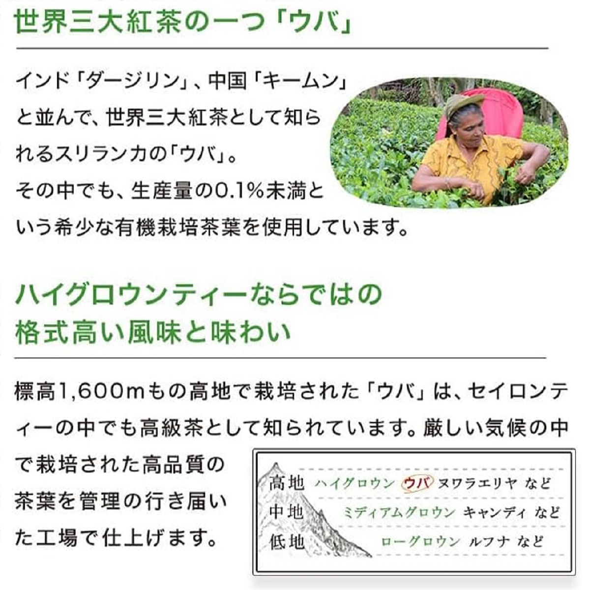 岡山県鏡野町のふるさと納税 HONEY LOVE はちみつ紅茶 25包×1箱（04068）【006-a086】