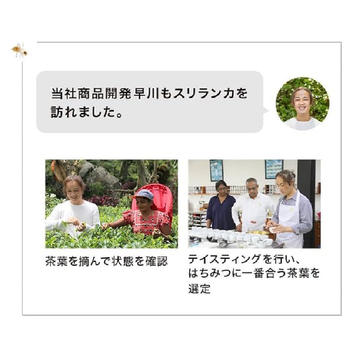 岡山県鏡野町のふるさと納税 HONEY LOVE はちみつ紅茶 25包×1箱（04068）【006-a086】