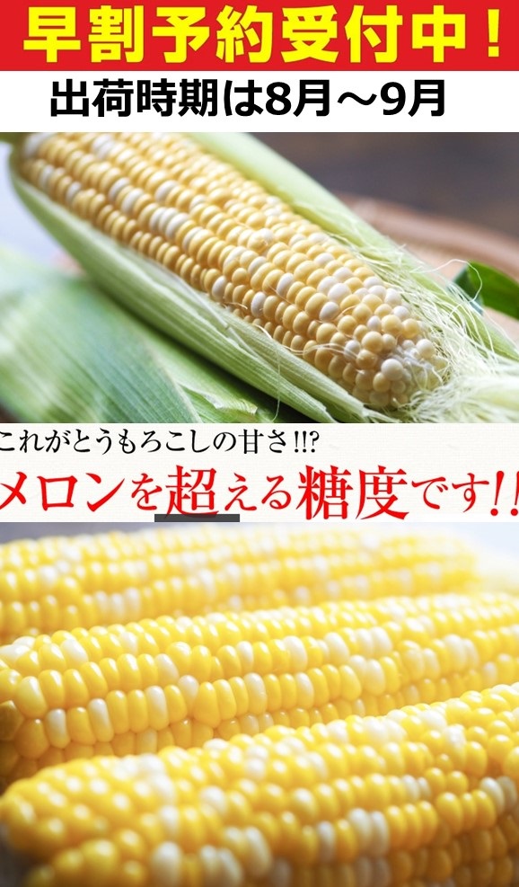 北海道池田町のふるさと納税 訳あり 北海道 とうもろこし 2種類 合計11～13本 5キロ 食べ比べセット 雪の妖精（ホワイトコーン）5～7本、あゆみ（歩味、バイカラー）5～7本 期間限定 数量限定 トウモロコシ