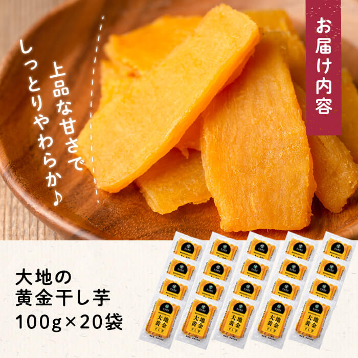 鹿児島県志布志市のふるさと納税 大地の黄金干し芋 計2kg(100g×20袋) b0-177