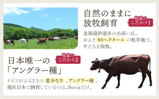 北海道伊達市のふるさと納税 北海道 牧家 Bocca プリン 三昧 4種 各2個入 計8個 食べ比べ 白いプリン クレームブリュレ 塩キャラメル クラッシュチーズケーキ プリン スイーツ なめらか ミルク