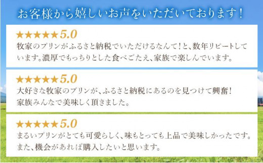 北海道伊達市のふるさと納税 北海道 牧家 Bocca プリン 三昧 4種 各2個入 計8個 食べ比べ 白いプリン クレームブリュレ 塩キャラメル クラッシュチーズケーキ プリン スイーツ なめらか ミルク