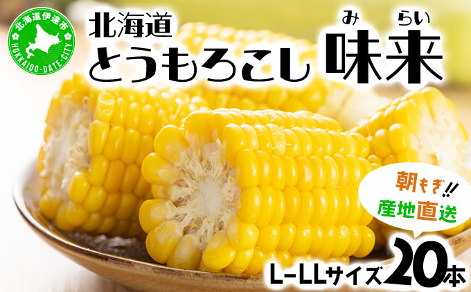 先行予約 【 2025年 発送 】北海道産 とうもろこし 味来 L?LLサイズ 20