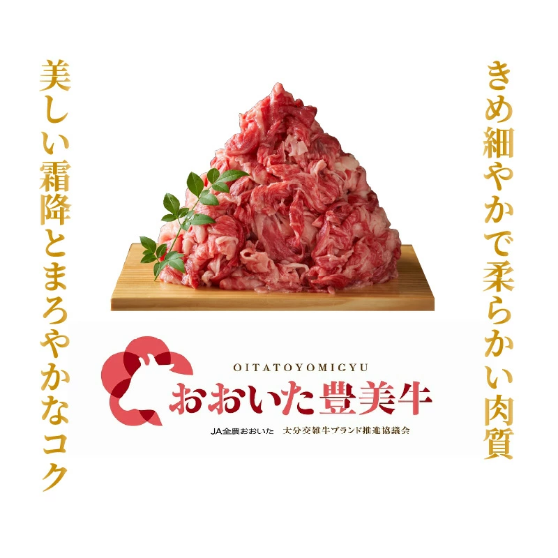 大分県国東市のふるさと納税 おおいた豊美牛切り落とし 1.5kg (300g×5P)_2263R
