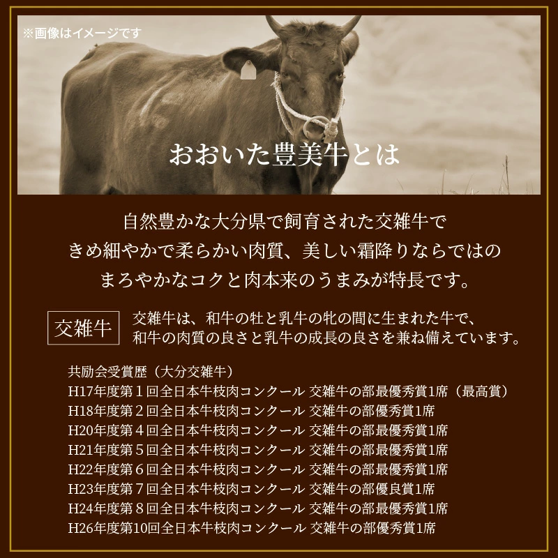 大分県国東市のふるさと納税 おおいた豊美牛切り落とし 1.5kg (300g×5P)_2263R