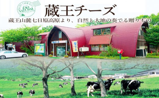 宮城県蔵王町のふるさと納税 蔵王チーズ　シュレッドチーズ（モッツアレラ＆ゴーダ） 180g×5袋   チーズ シュレッドチーズ 小分け 乳製品 蔵王 人気　【04301-0192】