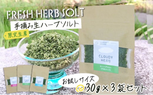 【北海道登別市】限定生産!手摘み生ハーブソルト お試しパックセット
