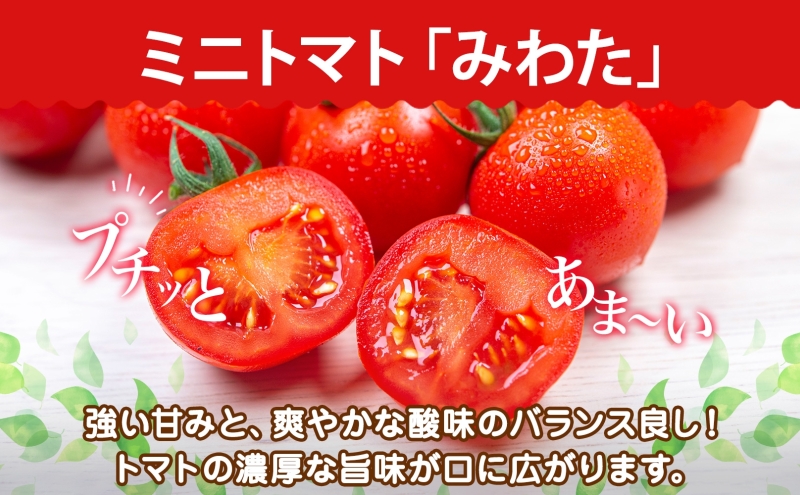 北海道洞爺湖町のふるさと納税  北海道 有機JAS認定 ミニトマト みわた 150g×8パック 先行予約 2025年 7月中旬～9月上旬頃にお届け 先行受付 有機栽培 新鮮 旬 野菜 安心 安全 濃厚 トマト 産地直送 農家直送