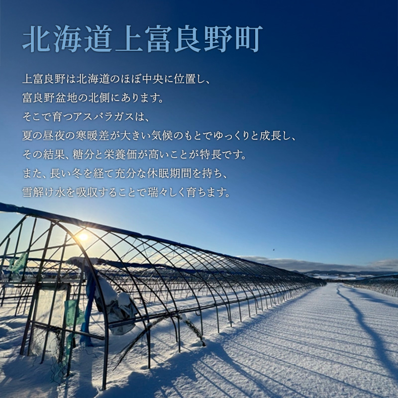 2024年発送 ！】北海道 上富良野産 露地 グリーン アスパラガス