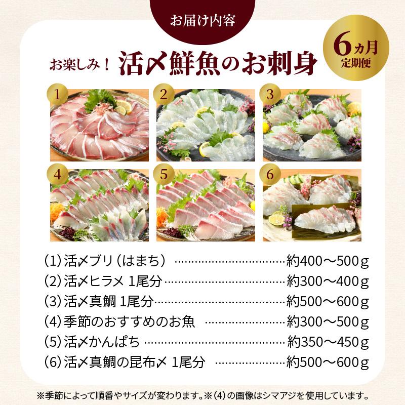 宮崎県延岡市のふるさと納税 【お楽しみ定期便】延岡産活〆鮮魚の豪華お刺身（6ヶ月定期便） N019-YF073