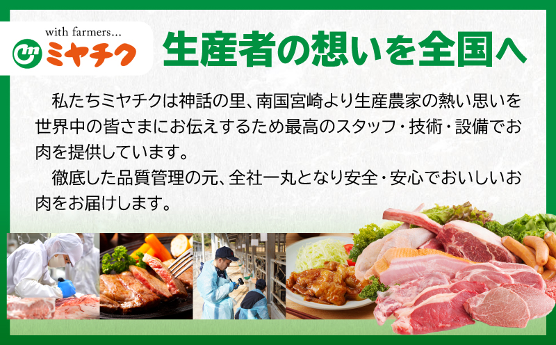 宮崎県日南市のふるさと納税 【6月末までにお届け】【畜産農家応援】リピーター続出!!数量限定 厳選 宮崎牛 赤身 スライス 計1kg 粗挽きウインナー 牛肉 国産 すき焼き 人気 黒毛和牛 肩ウデ モモ しゃぶしゃぶ A4 A5 等級 ギフト 贈答 小分け 食品 選べる ミヤチク 宮崎県 日南市 送料無料_CB102-25-ZO-06