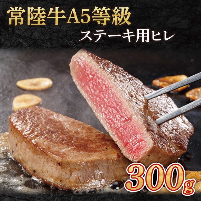 y錧qz헤A5@Xe[Lp300giqj(AC006-1)