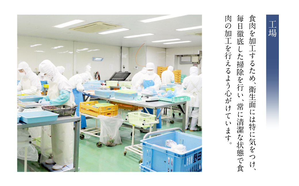 熊本県八代市のふるさと納税 熊本県産 あか牛ハンバーグ 960g (120g×8個)
