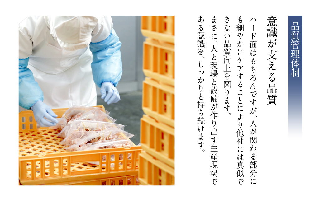 熊本県八代市のふるさと納税 熊本県産 あか牛ハンバーグ 960g (120g×8個)