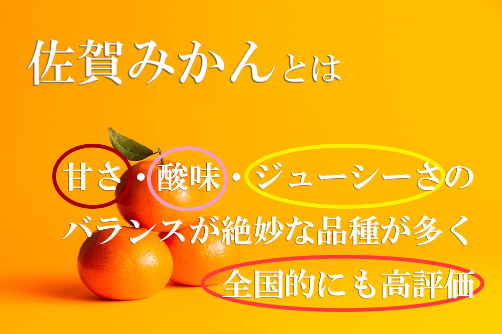 佐賀県みやき町のふるさと納税 DV127　【佐賀県産】みかん定期便【年6回】