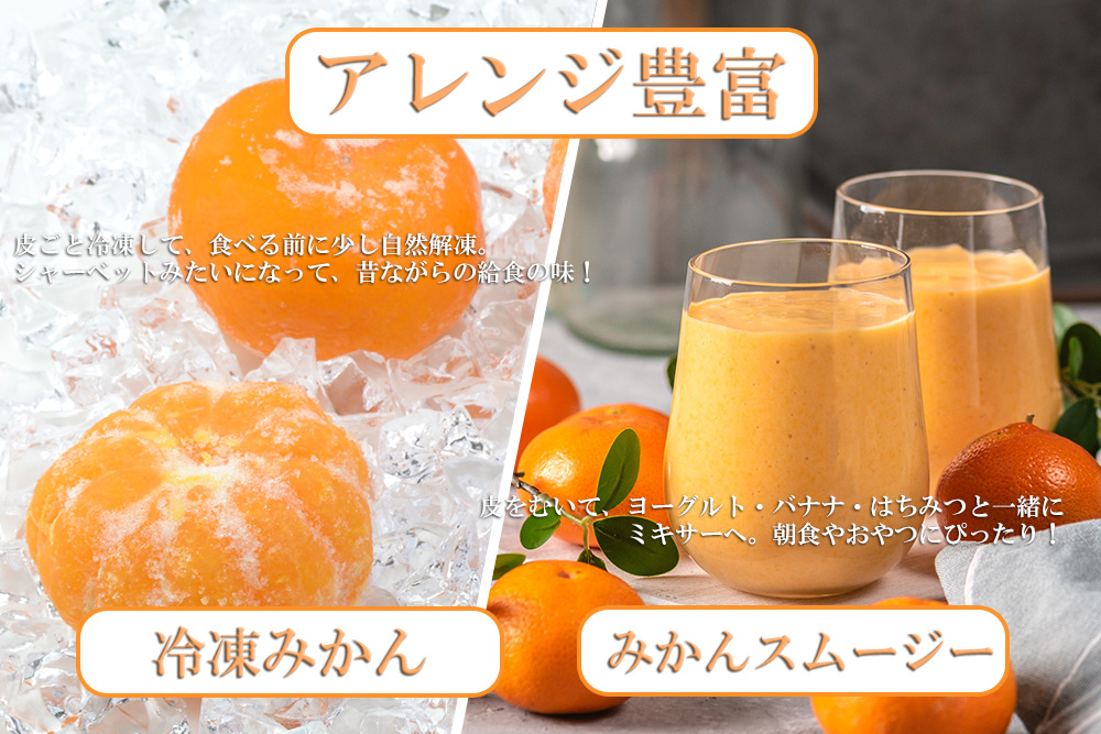 佐賀県みやき町のふるさと納税 DV127　【佐賀県産】みかん定期便【年6回】