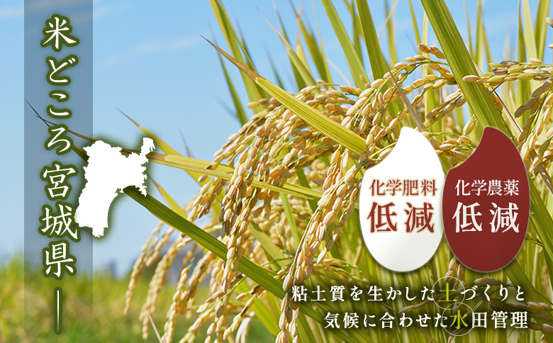 宮城県白石市のふるさと納税 【ご入金確認後、順次発送！】ひとめぼれ（精米）2kg【490004】