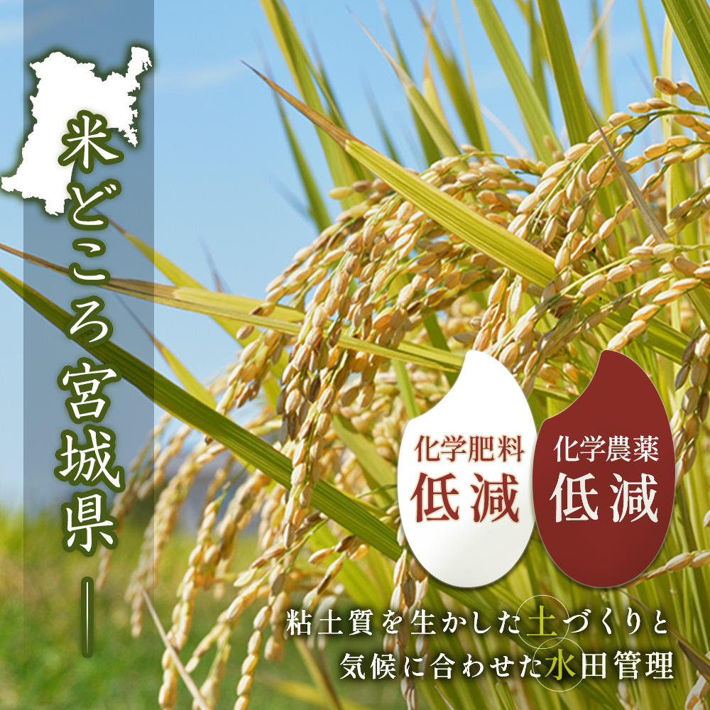 宮城県白石市のふるさと納税 【ご入金確認後、順次発送！】つや姫（精米） 2kg【490008】