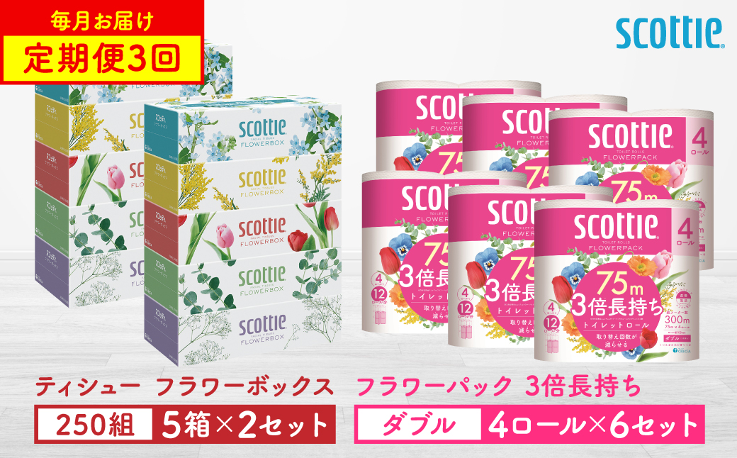 【定期便3回】【毎月1回お届け】【スコッテ