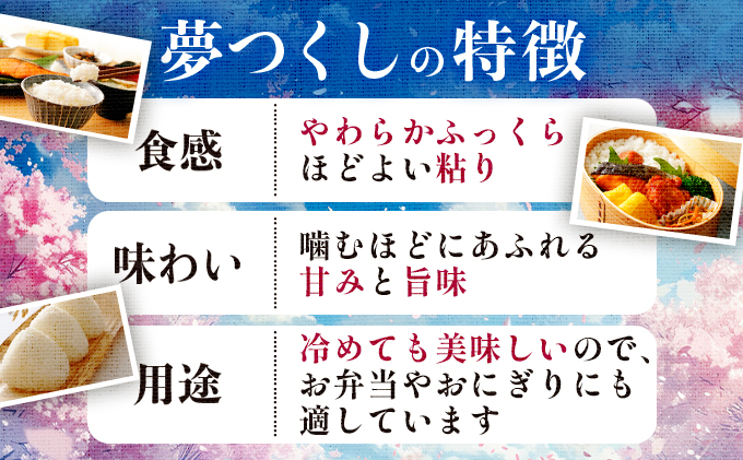 福岡県大木町のふるさと納税 【14日営業日以内に発送】令和6年産 福岡県産米 夢つくし 10kg 精米 CY002