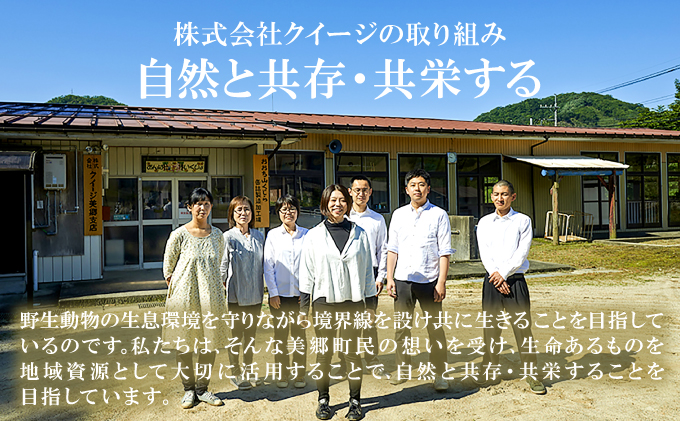 島根県美郷町のふるさと納税 イノシシ肉のハンバーグ 4袋セット
