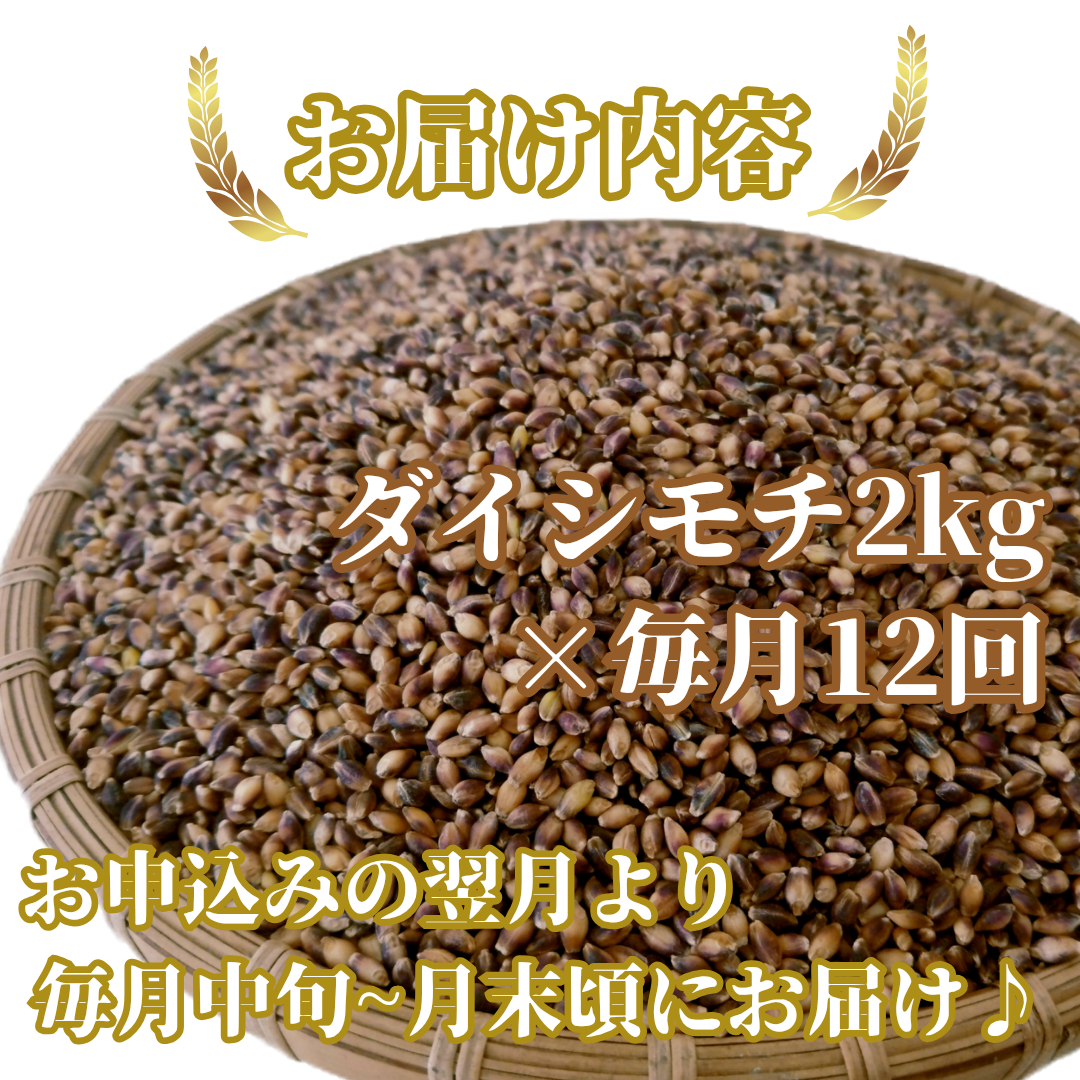 CIB39_【12回定期便】ダイシモチ2kg もち麦 キラリ もち麦
