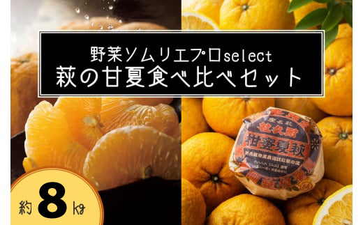 萩の甘夏 食べ比べ セット 8kg以上 20玉程度 野菜ソムリエ プロselect 甘夏 果物 デザート 柑橘|HG001024