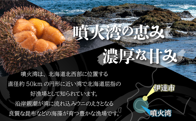 北海道伊達市のふるさと納税 訳あり 北海道 噴火湾産 塩水 バフンウニ 100g 1パック うに ウニ 雲丹 海鮮 海の幸 魚介類 ウニ丼 お寿司 濃厚 無添加 産地直送 お取り寄せ 山村水産 送料無料