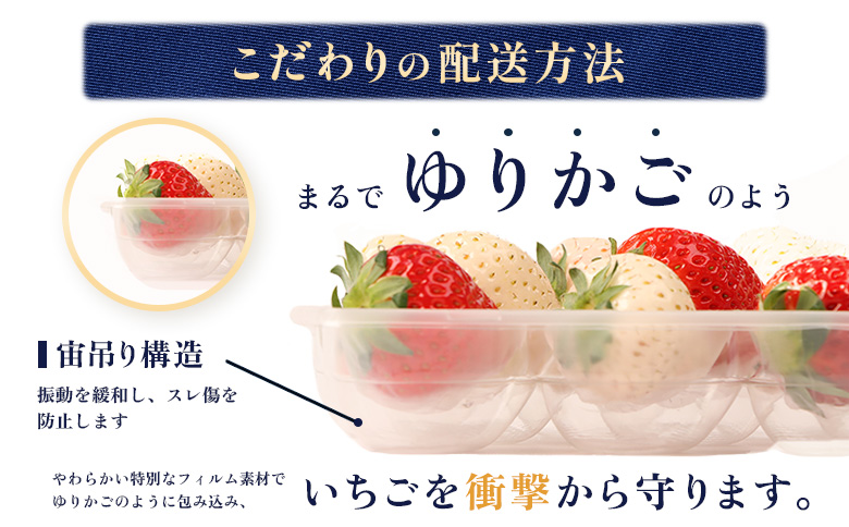 北海道中標津町のふるさと納税 【セゾン限定】【受注後、随時発送！】【北海道産】ゆきいちご（白いちご） 2Pセット 250g×2 計500g【59004】