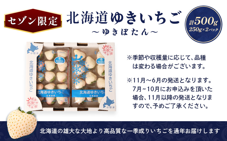 北海道中標津町のふるさと納税 【セゾン限定】【受注後、随時発送！】【北海道産】ゆきいちご（白いちご） 2Pセット 250g×2 計500g【59004】