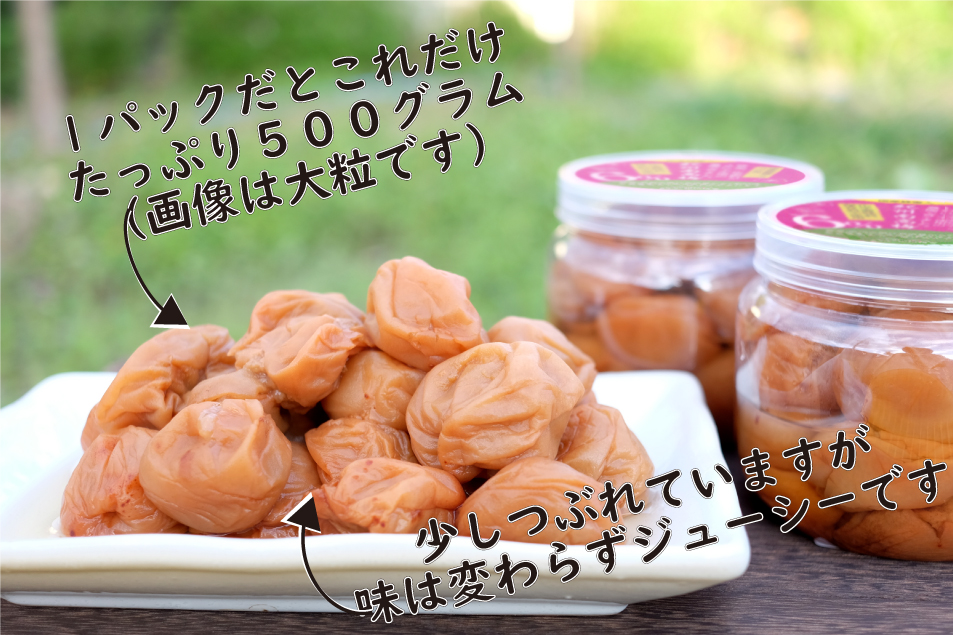 梅干し 無添加 訳あり はちみつ梅干1kg（500g×2） 紀州梅香