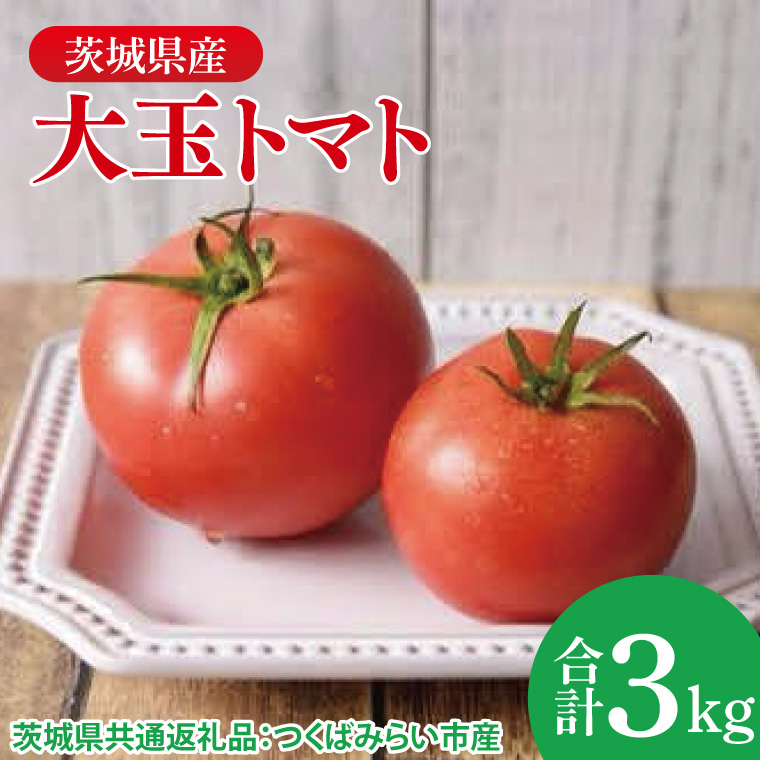 大玉トマト 3kg（茨城県共通返礼品：つくばみらい市産）|トマト 大きい 