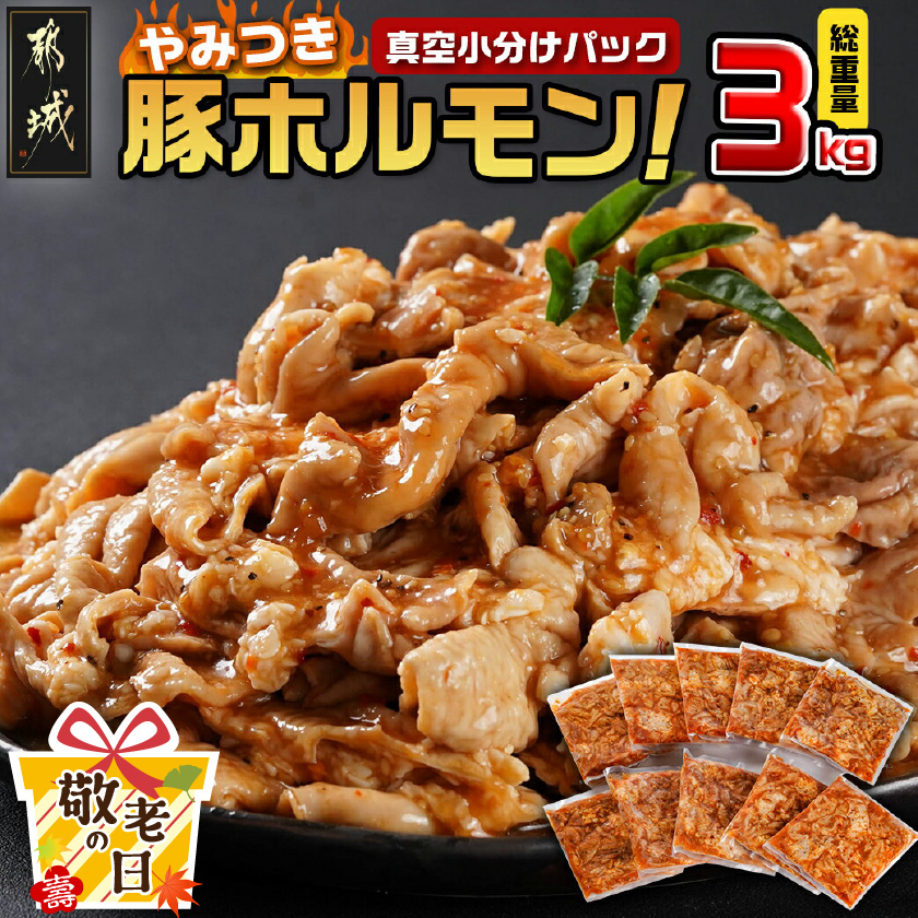 [敬老の日]やみつき豚ホルモン!3kg!真空小分けパック!≪9月11日〜15日お届け≫_LG8-3303-KG