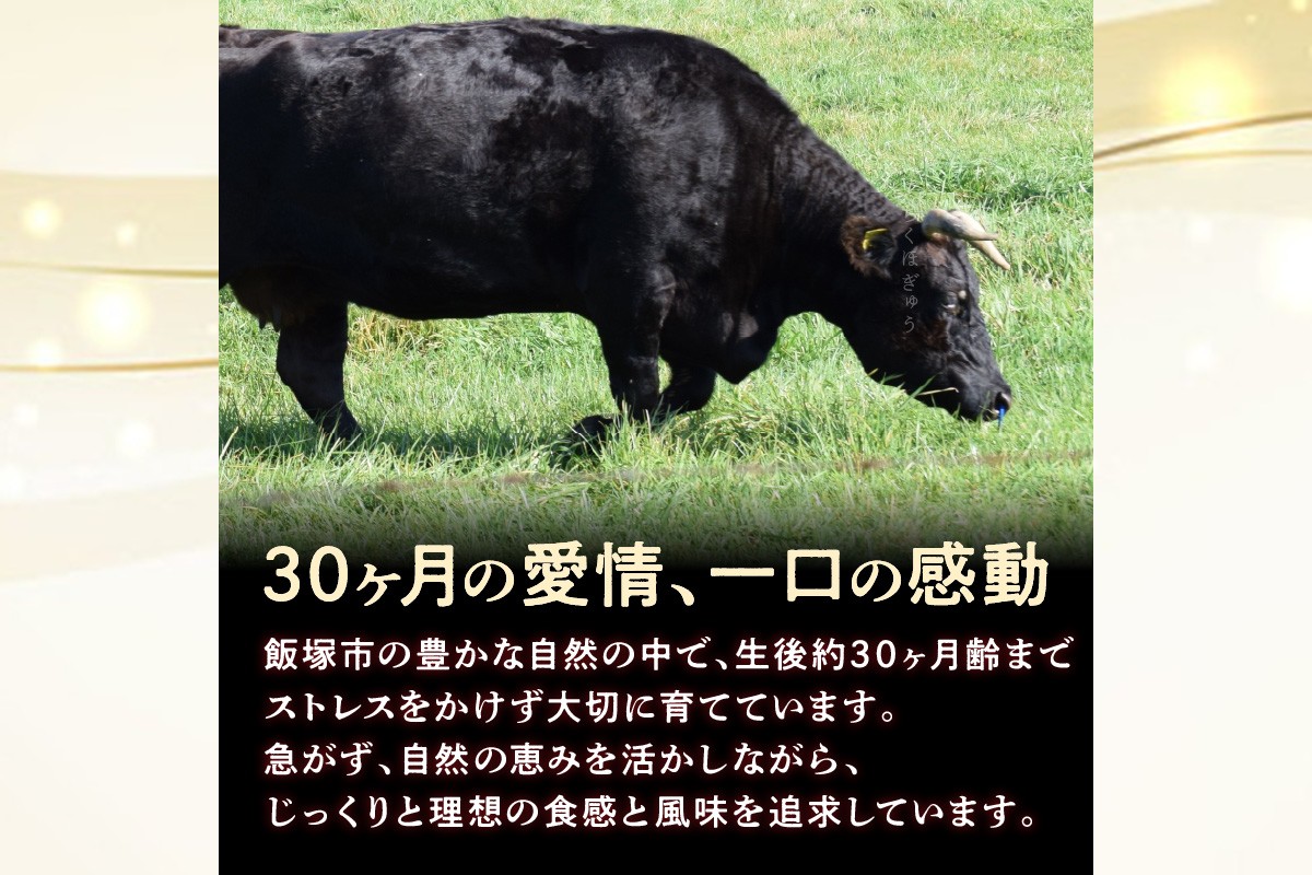 福岡県飯塚市のふるさと納税 本格黒毛和牛　筑穂牛肩ロース肉すき焼き用　７００ｇ【E-081】