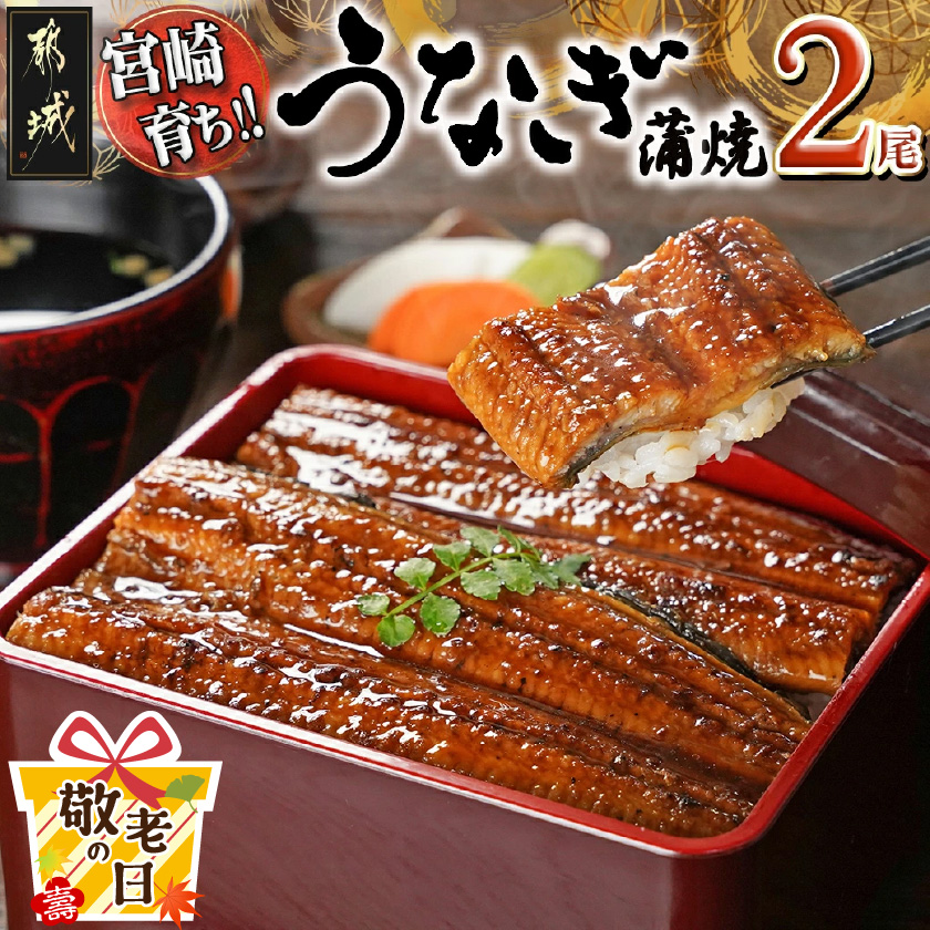 [敬老の日]宮崎県育ちのうなぎ蒲焼2尾300g以上≪山椒・たれ付≫≪9月11日〜15日お届け≫_13-M301-KG