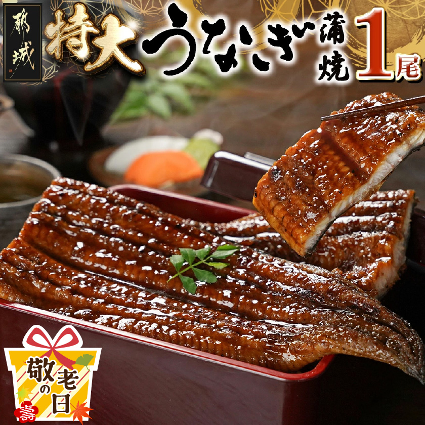 [敬老の日]宮崎県育ちの[特大]うなぎ蒲焼1尾210g以上≪山椒・たれ付≫≪9月11日〜15日お届け≫_11-M301-KG