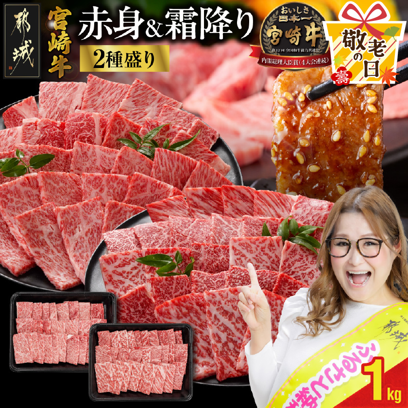 [敬老の日]宮崎牛焼肉2種セット500g×2パック≪9月11日〜15日お届け≫_17-N202-KG