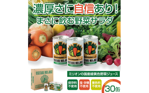 [定期便3ヶ月]国産 緑黄色 野菜 ジュース 30缶セット | 野菜ジュース 健康 栄養 低カロリー 信州 長野県産 千曲市