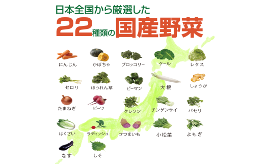 長野県千曲市のふるさと納税 国産 緑黄色 野菜 ジュース 6缶セット｜野菜ジュース 健康 栄養 低カロリー 信州 長野県産 千曲市