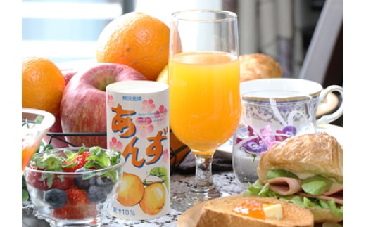 気軽にあんずを楽しむ あんずエード 30本|杏子 爽やか 甘酸っぱい 信州 長野県 千曲市