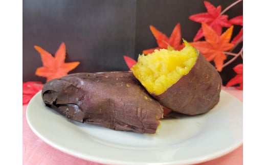 冷凍 焼き芋 紅はるか Lサイズ ハーフカット 6個 計約900g|さつまいも スイーツ おやつ 信州 長野県 千曲市
