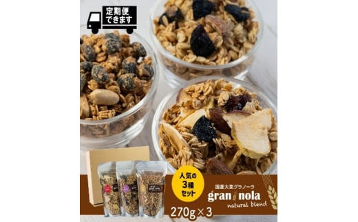 国産大麦グラノーラ [小麦粉不使用]Lサイズ 人気の3個セット|果物 フルーツ 朝食 軽食 おやつ 食物繊維 国産原料 信州産 長野県 千曲市